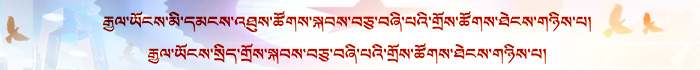 藏文两会banner??.jpg